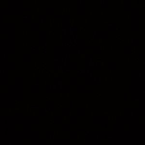 Meet your Posher, Anne